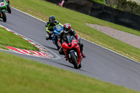 PJ-Motorsport-Photography-2020;anglesey;brands-hatch;cadwell-park;croft;donington-park;enduro-digital-images;event-digital-images;eventdigitalimages;mallory;no-limits;oulton-park;peter-wileman-photography;racing-digital-images;silverstone;snetterton;trackday-digital-images;trackday-photos;vmcc-banbury-run;welsh-2-day-enduro